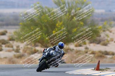 media/Apr-10-2022-SoCal Trackdays (Sun) [[f104b12566]]/Turn 5 Tree of Life (1040am)/